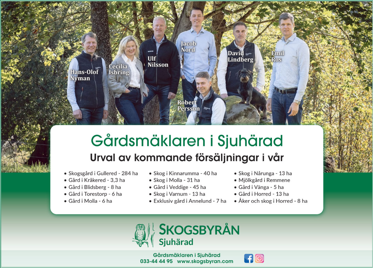 skogskampanj